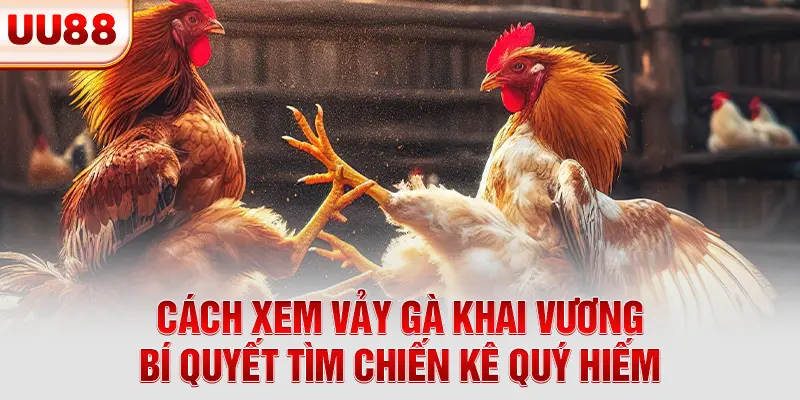 Cách Xem Vảy Gà Khai Vương - Bí Quyết Tìm Chiến Kê Quý Hiếm