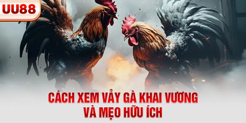 Cách xem vảy gà khai vương và mẹo hữu ích Cách xem vảy gà khai vương và mẹo hữu ích
