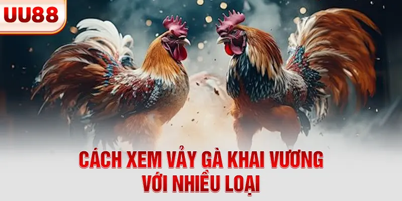 Cách xem vảy gà khai vương với nhiều loại Cách xem vảy gà khai vương với nhiều loại