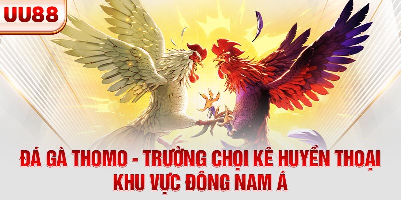 Đá Gà Thomo - Trường Chọi Kê Huyền Thoại Khu Vực Đông Nam Á