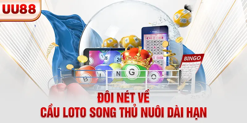 Đôi nét về cầu loto song thủ nuôi dài hạn