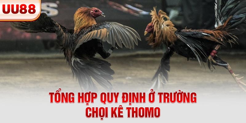 Tổng hợp quy định ở trường chọi kê Thomo