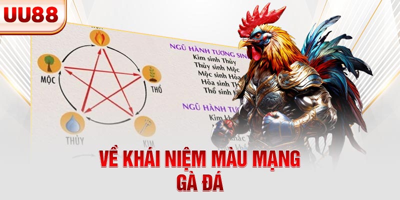 Về khái niệm màu mạng gà đá