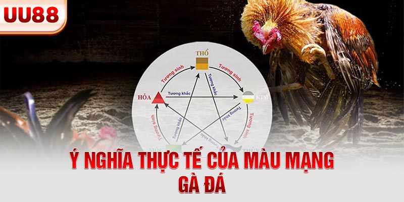 Ý nghĩa màu mạng gà đá
