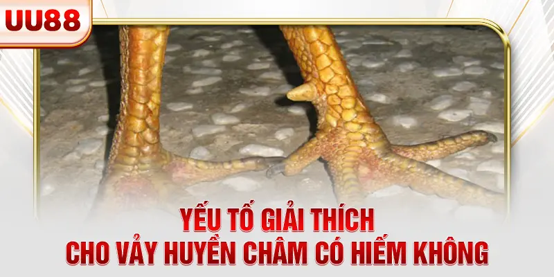Yếu tố giải thích cho vảy huyền châm có hiếm không